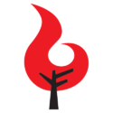 Birch and Flame
